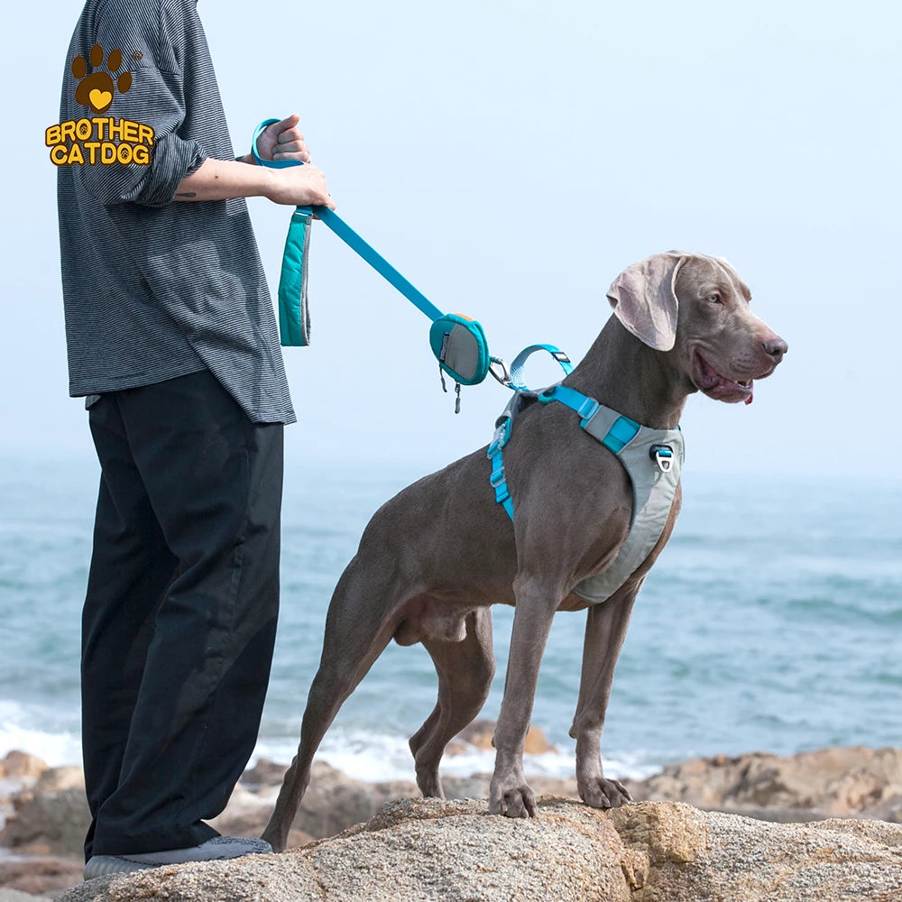 Hundegeschirr Training Weste – Reflektierend, Verstellbar, S–XL