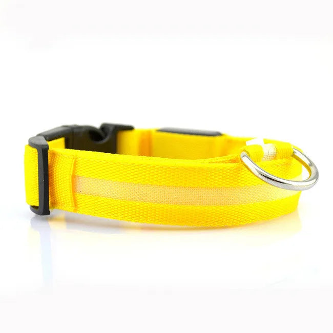 LED Hundehalsband – leuchtet im Dunkeln, 6 Farben, S–XL