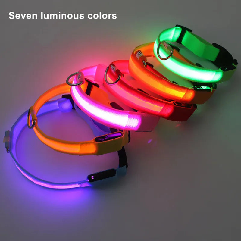 LED Hundehalsband – leuchtet im Dunkeln, 6 Farben, S–XL