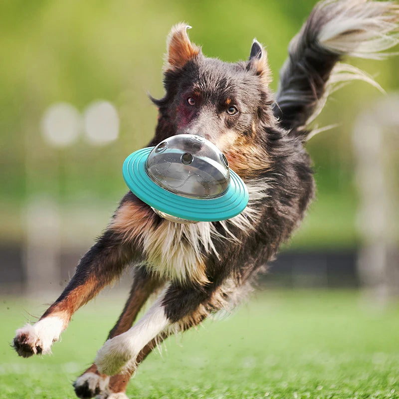 Frisbee Leckerli-Spender – 3-in-1 Slow Feeder, Wurfscheibe & Intelligenzspielzeug für Hunde