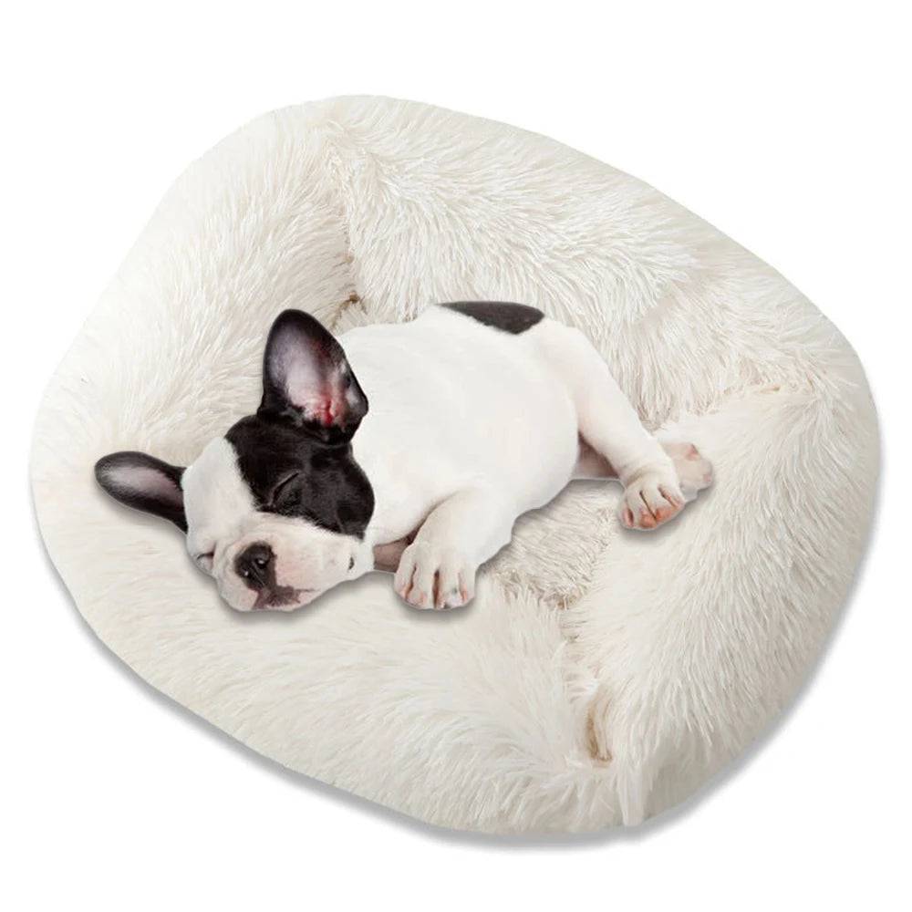 Plüsch-Hundebett quadratisch – superweich & warm, 12 Farben, XS bis L für alle Hunde