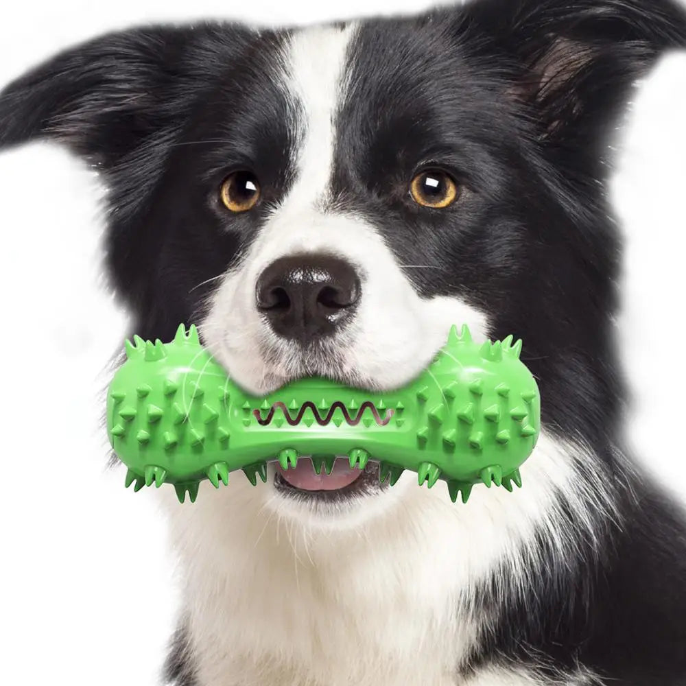 Hantel-Quietschspielzeug für Hunde – Gummi-Kauknochen mit Sound-Effekt