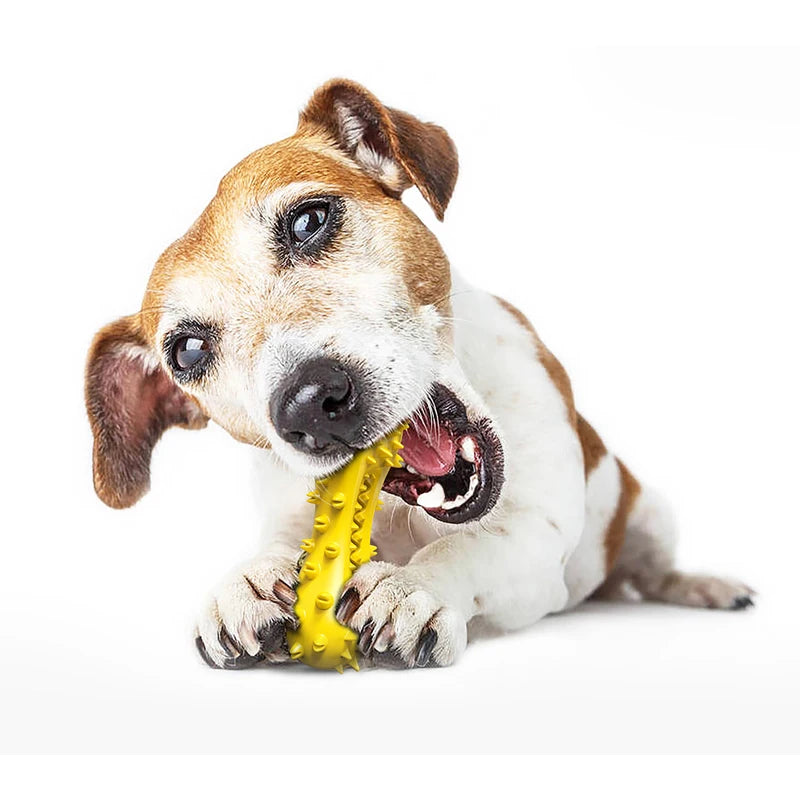 Hantel-Quietschspielzeug für Hunde – Gummi-Kauknochen mit Sound-Effekt