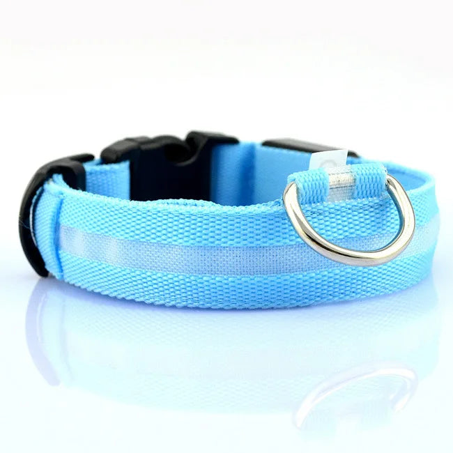 LED Hundehalsband – leuchtet im Dunkeln, 6 Farben, S–XL