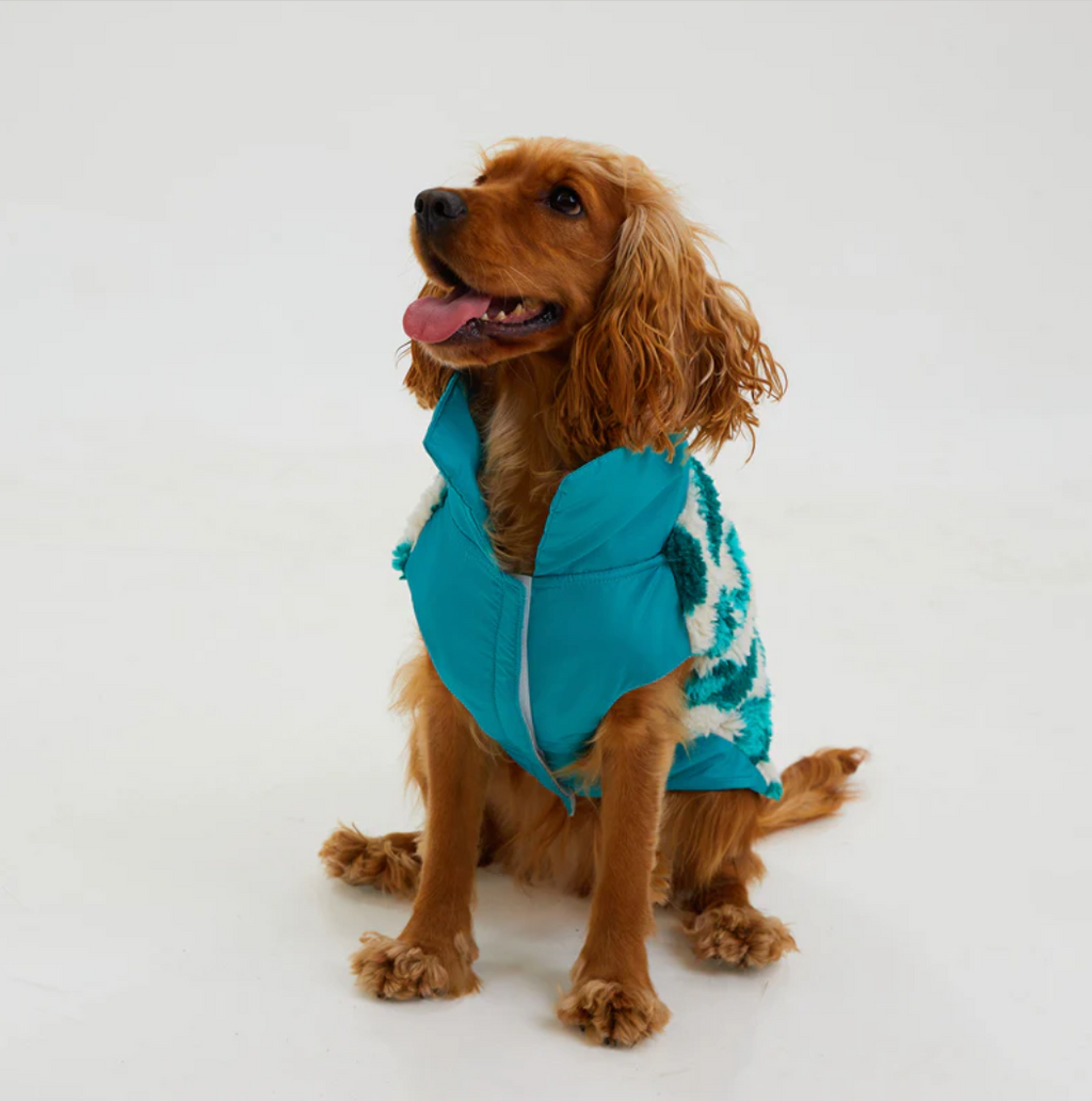 Hundemantel "Türkistraum" – Fleece-Mouflon, warm & winddicht, XS–XL