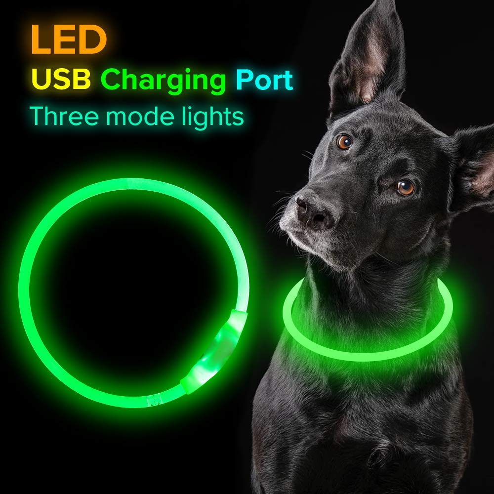 LED-Leuchthalsband für Hunde – USB-aufladbar, 8 Farben, 35–70 cm