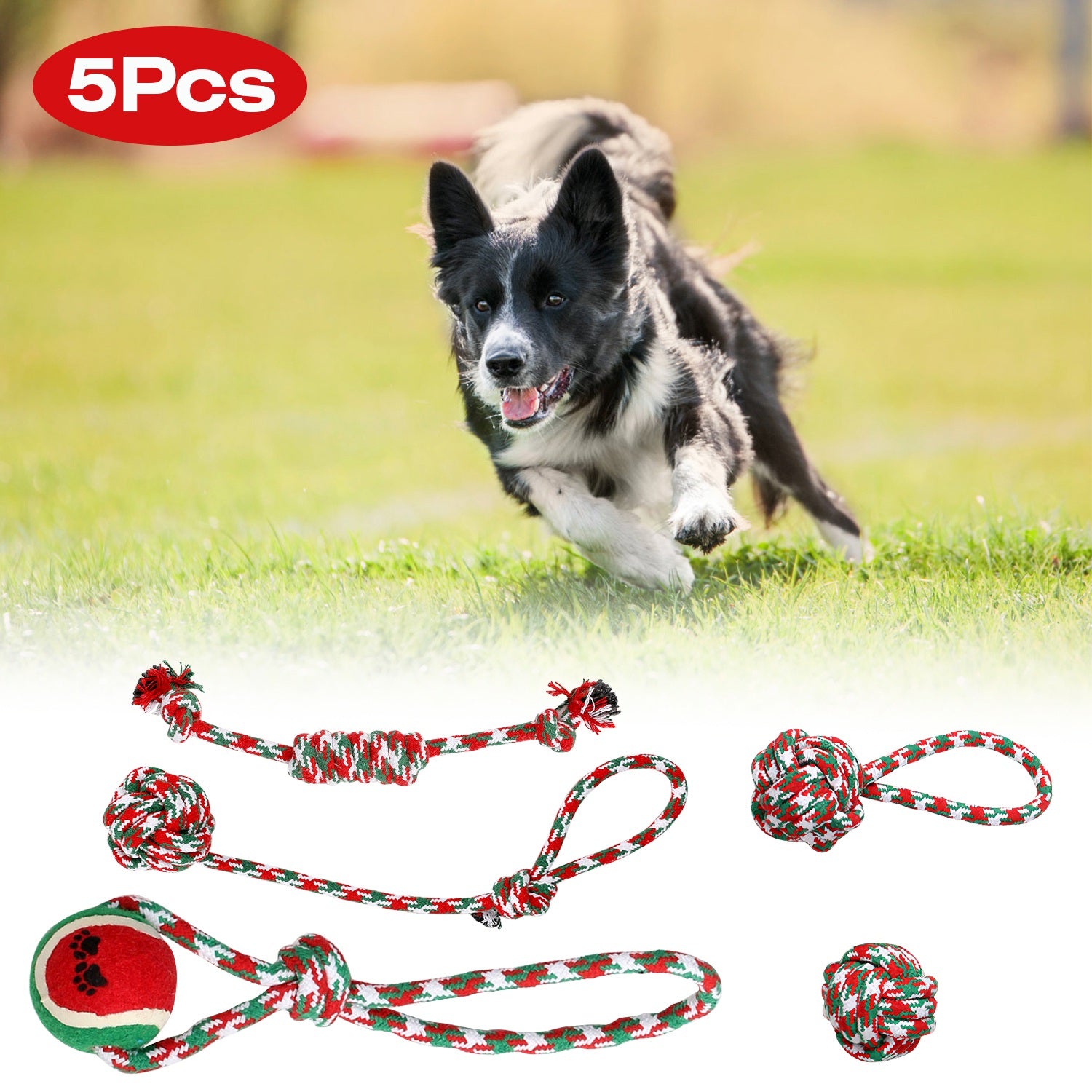5er-Set Weihnachts-Seilspielzeug für Hunde – Kauen, Tauziehen & Zahnpflege