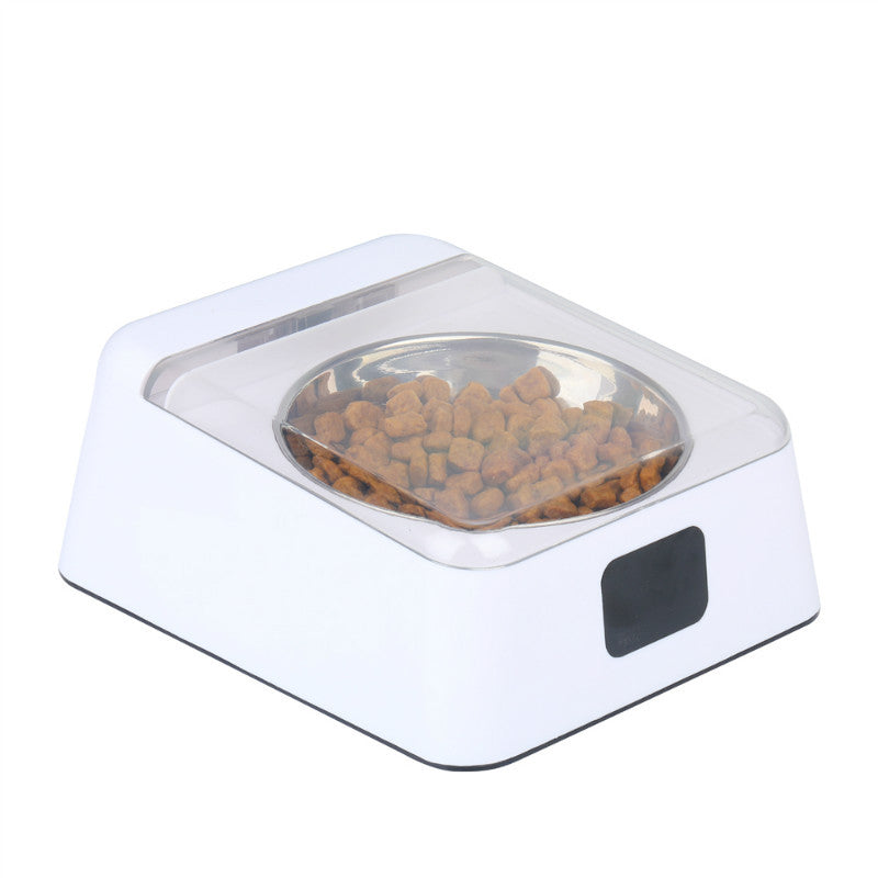 Automatischer Smart-Feeder für Hunde – feuchtigkeitsgeschützt, 350ml