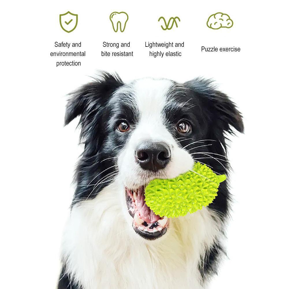 Durian-Kauspielzeug für Hunde – Zahnpflege, bissfest & sicher
