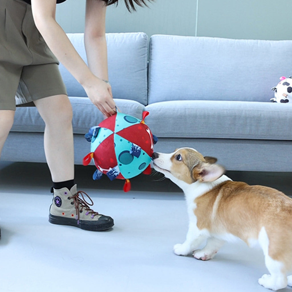 Hundefußball mit Griffen – Interaktives Tug-of-War & Wasserspielzeug