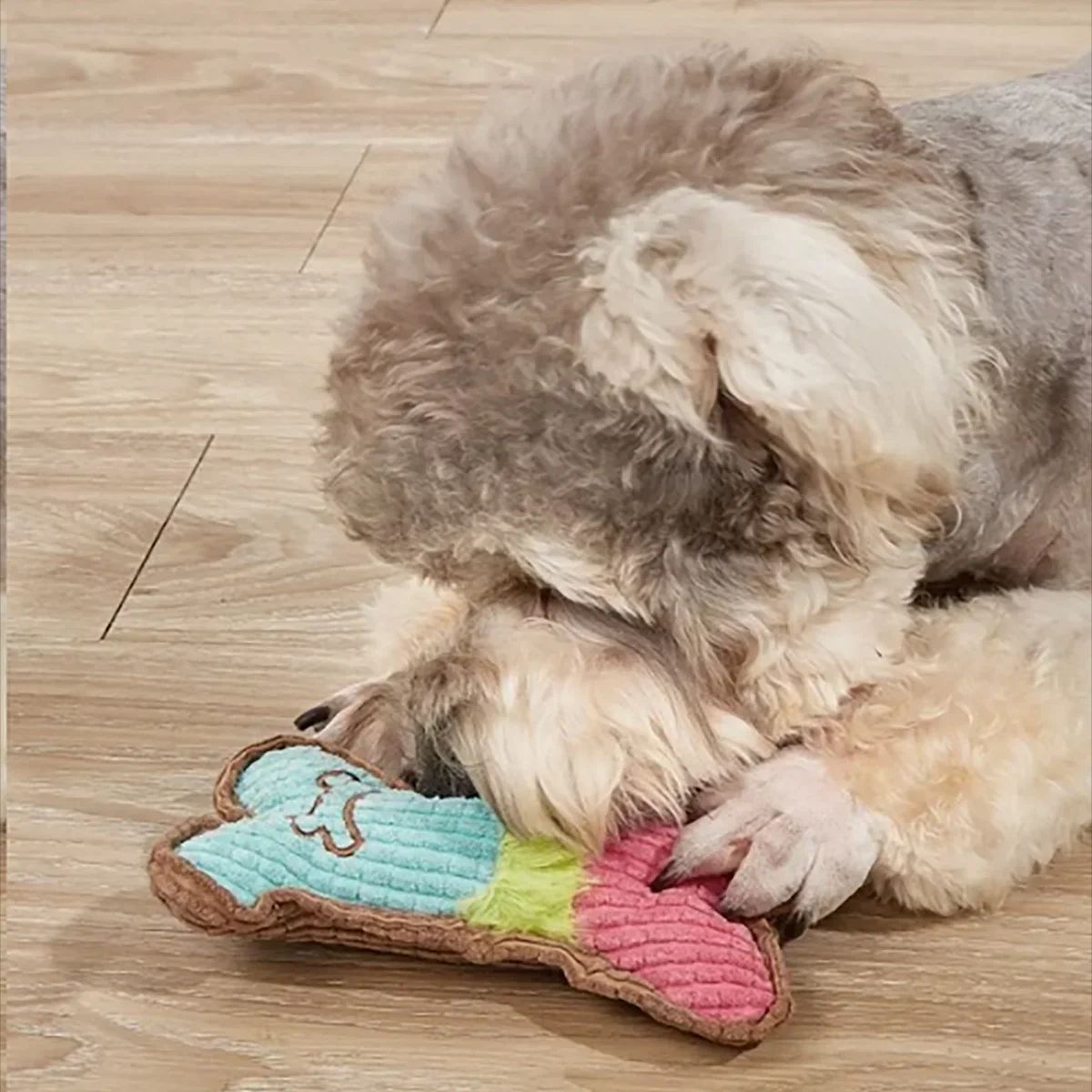 Plüsch Quietschspielzeug für Hunde – Kauen, Beißen & Spaß