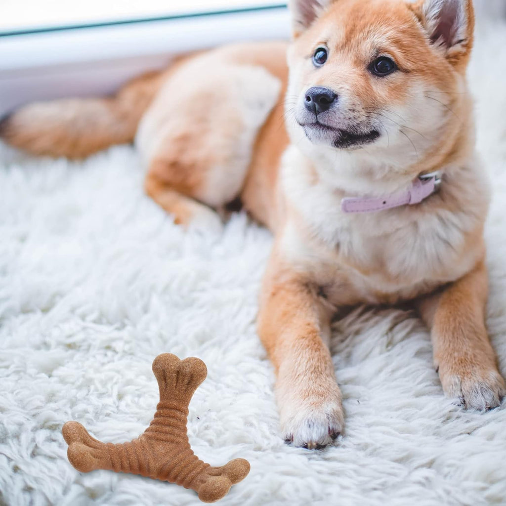 Nylon Kaustab für Hunde – Zahnpflege & Intelligenzspielzeug (3 Formen)