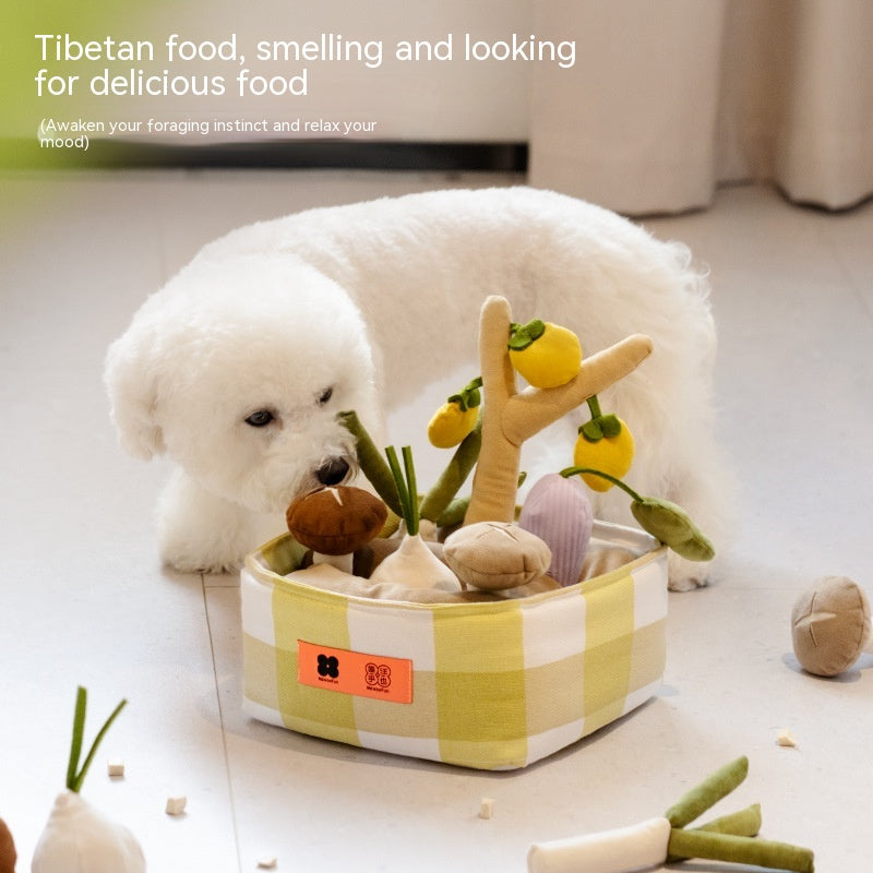 Obst & Gemüse Spielzeug-Set für Hunde – 6 Teile, Schnüffeln & Verstecken