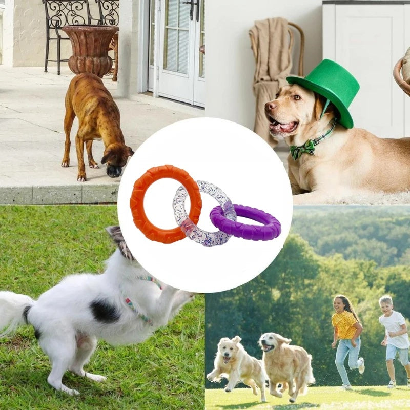 Schwimmender Frisbee-Ring für Hunde – Wasser- & Apportierspielzeug