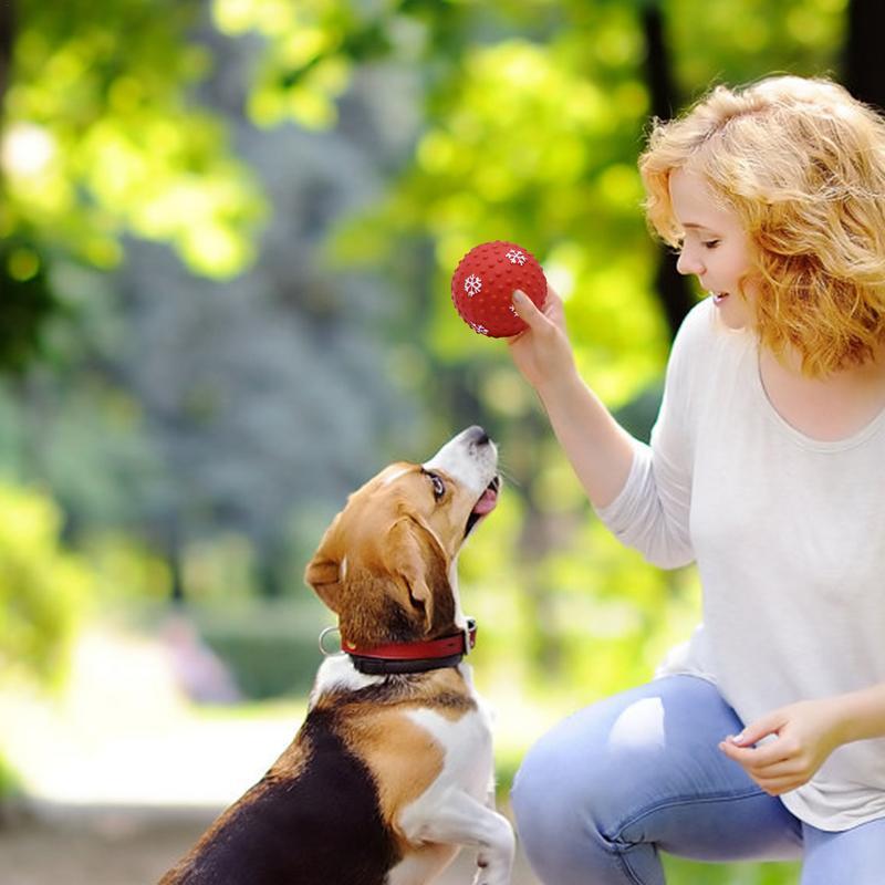 Interaktiver Hundeball mit Quietscher – schwimmfähig, bissfest & zahnpflegend