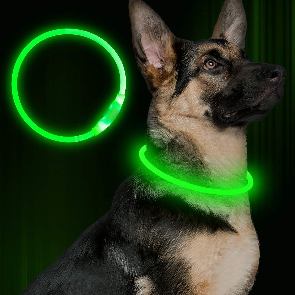 LED-Leuchthalsband für Hunde – USB-aufladbar, 8 Farben, 35–70 cm
