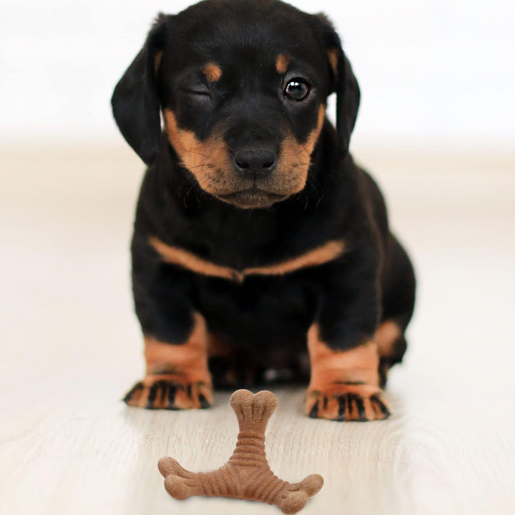 Nylon Kaustab für Hunde – Zahnpflege & Intelligenzspielzeug (3 Formen)
