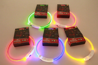 LED-Leuchthalsband für Hunde – USB-aufladbar, 8 Farben, 35–70 cm