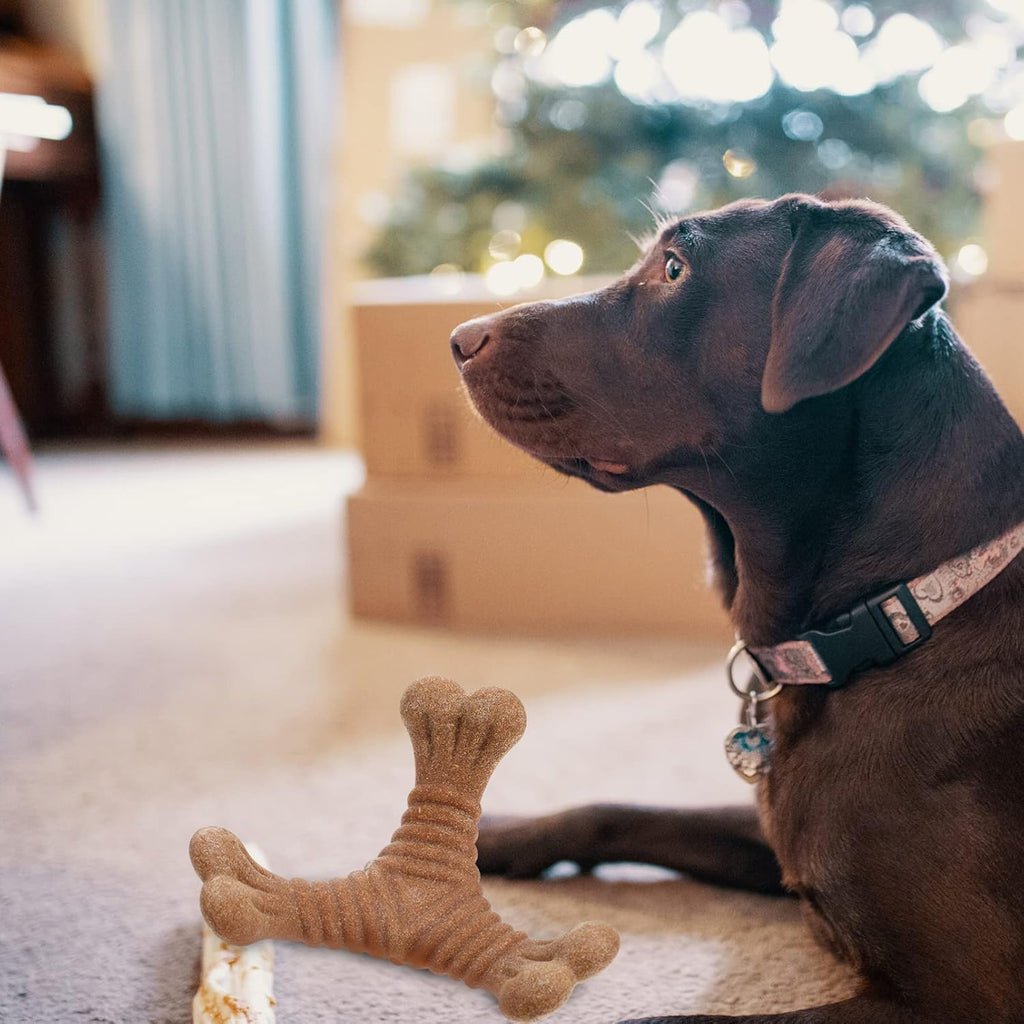Nylon Kaustab für Hunde – Zahnpflege & Intelligenzspielzeug (3 Formen)