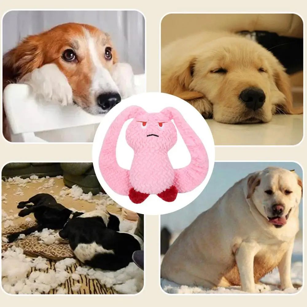 Hase Plüsch-Quietschspielzeug für Hunde – Weiches Kauspielzeug für Welpen & kleine Hunde