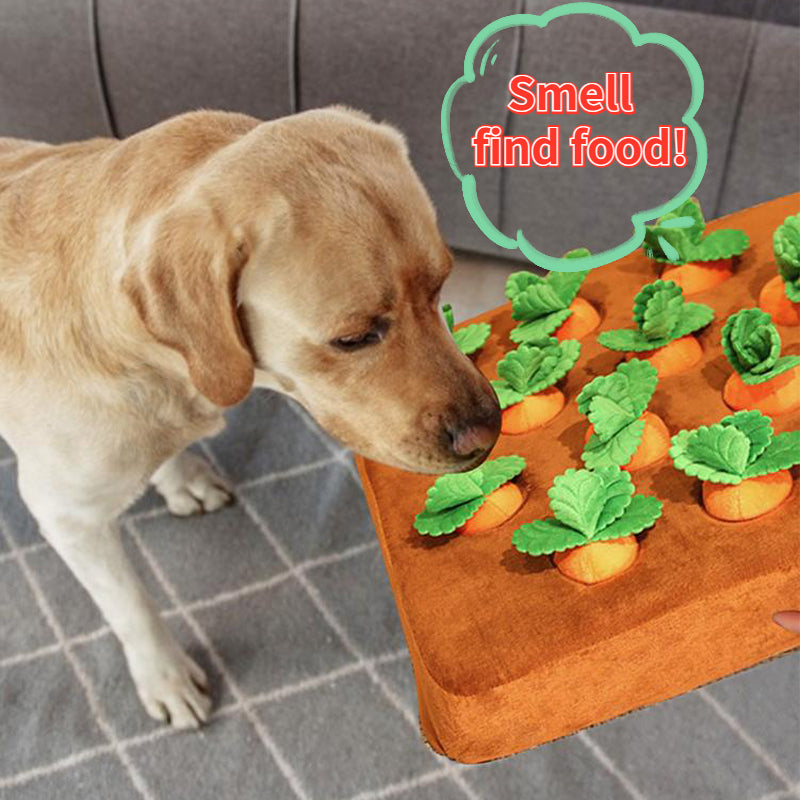 Karotten-Schnüffelmatte für Hunde – Plüsch, interaktiv & als Set erhältlich