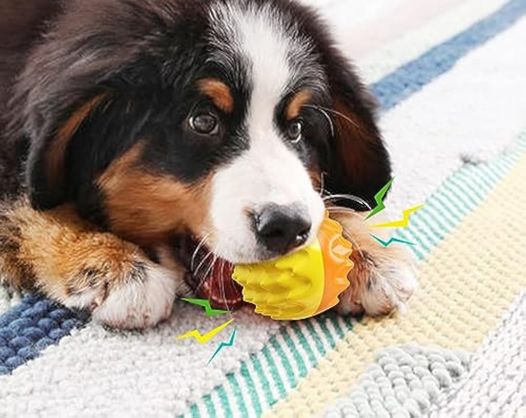Quietschball für Hunde – Zahnpflege & Kauball aus Gummi