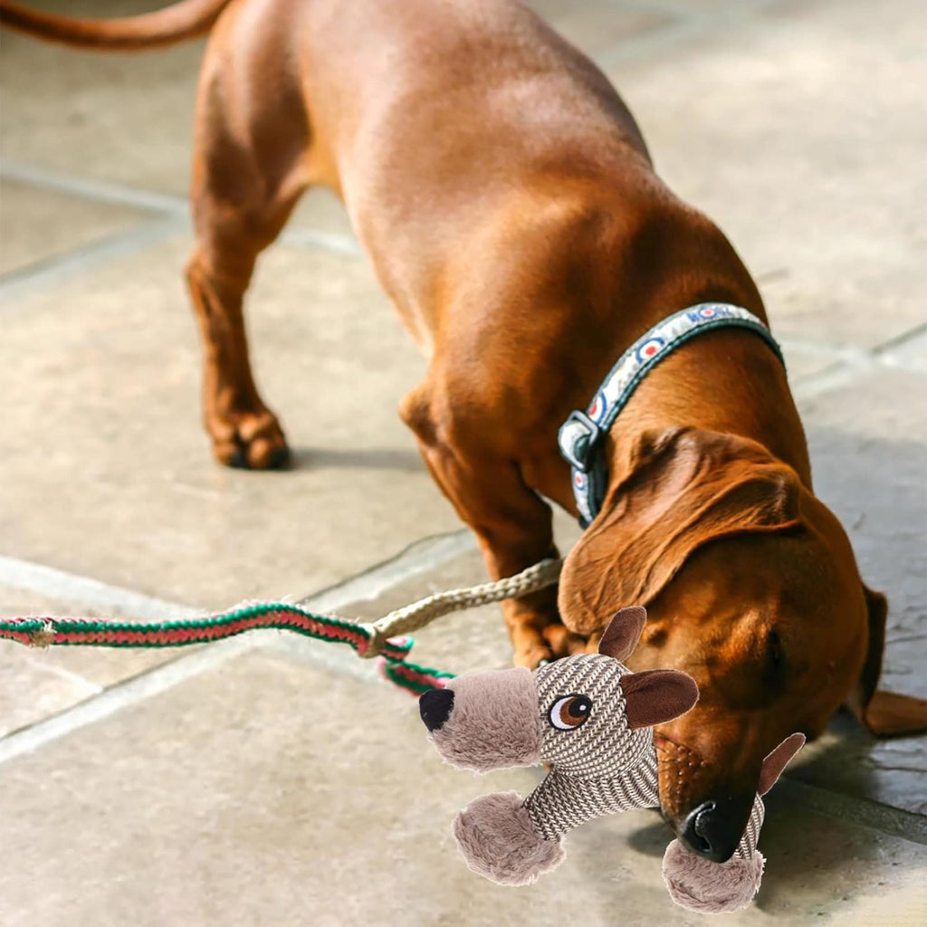 Plüsch-Quietschspielzeug für Hunde – Affe oder Welpe, weich & bissfest