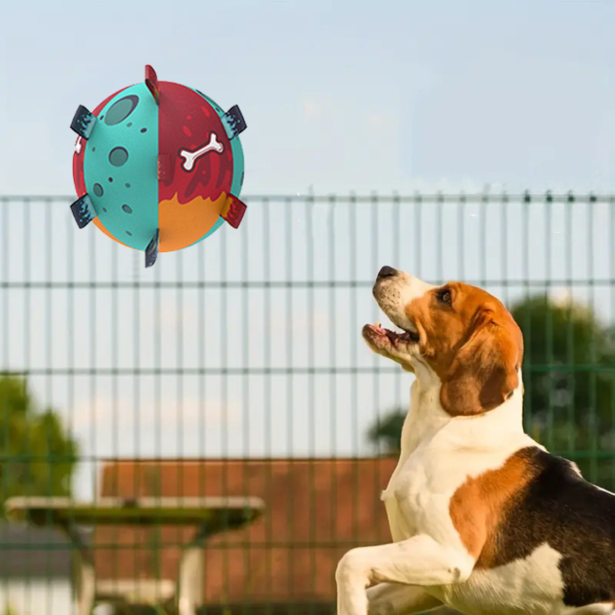 Hundefußball mit Griffen – Interaktives Tug-of-War & Wasserspielzeug