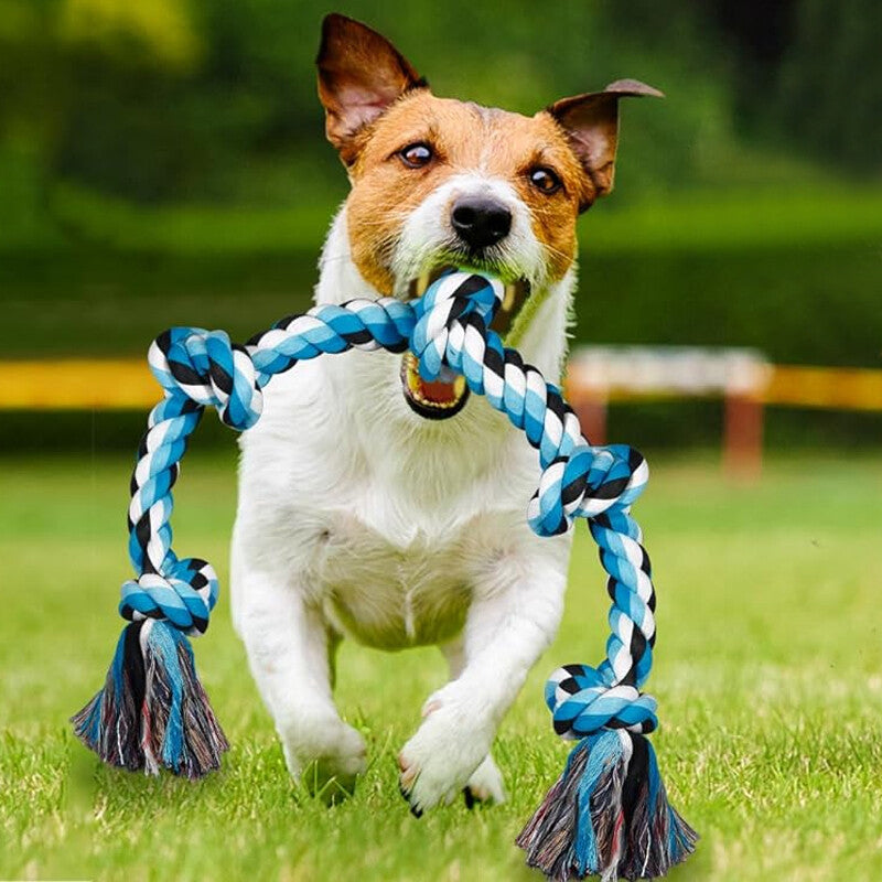XXL Seilspielzeug für große Hunde – Tauziehen, Zahnpflege & 5 Knoten