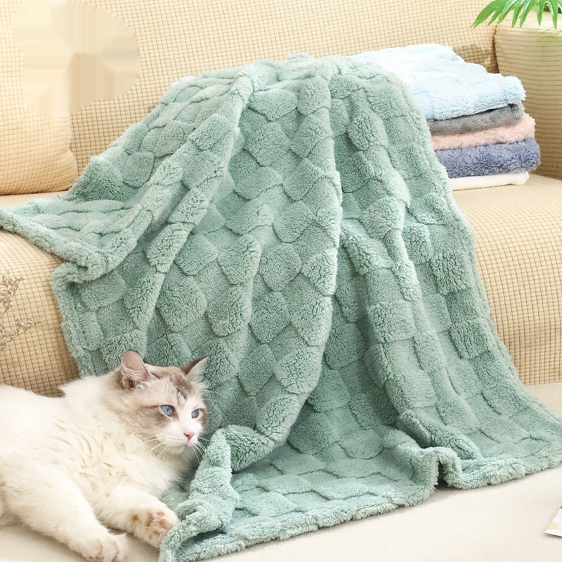Hundedecke aus Coral-Fleece – warm & weich, 3 Größen, Zufallsmuster