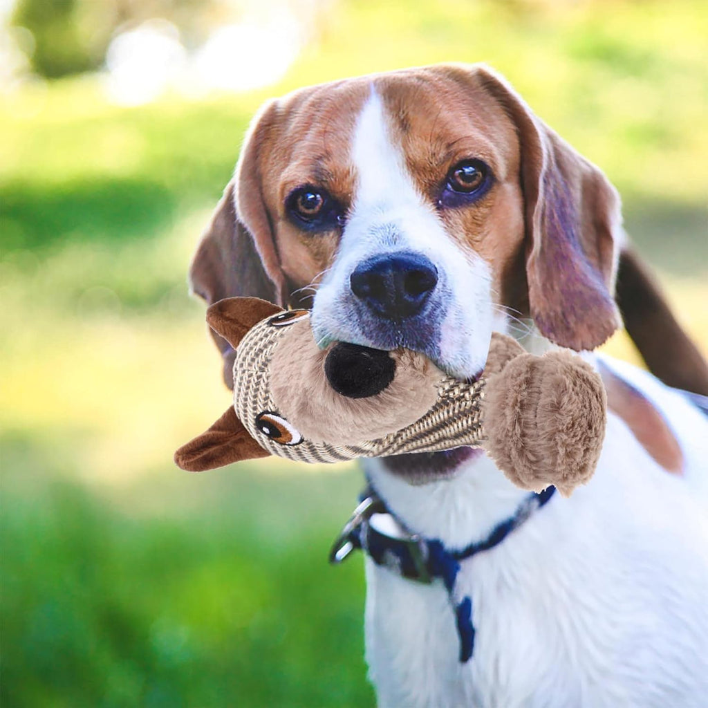 Plüsch-Quietschspielzeug für Hunde – Affe oder Welpe, weich & bissfest